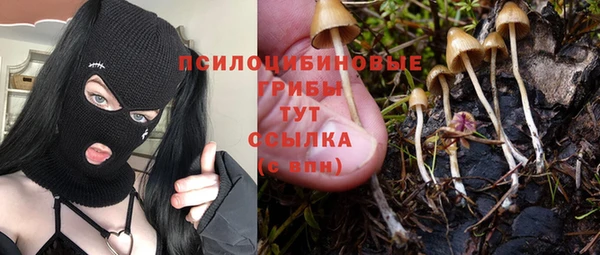spice Абинск