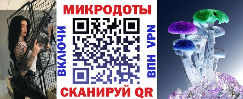 Псилоцибиновые грибы Psilocybine cubensis Новомичуринск