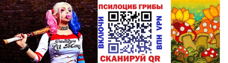 Псилоцибиновые грибы Cubensis  Новомичуринск 